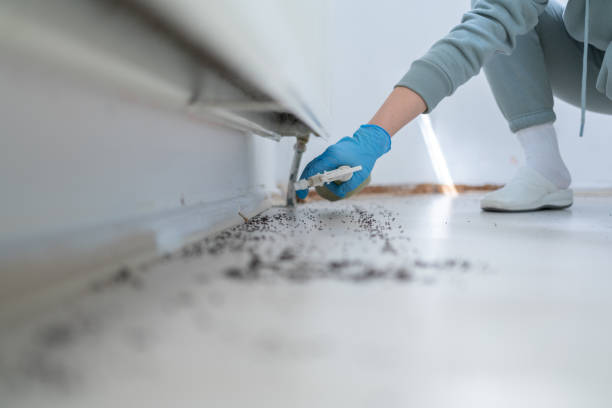 Best Commercial Pest Control Services  in Timber Pines, FL